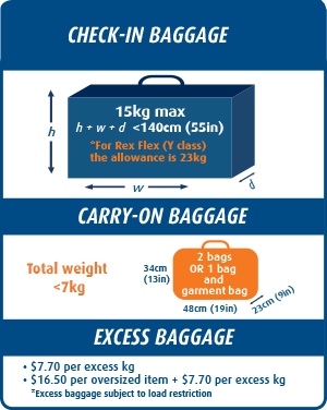 before you fly baggage allowance delta airline luggage size